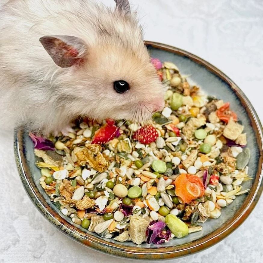 hamster food mixes