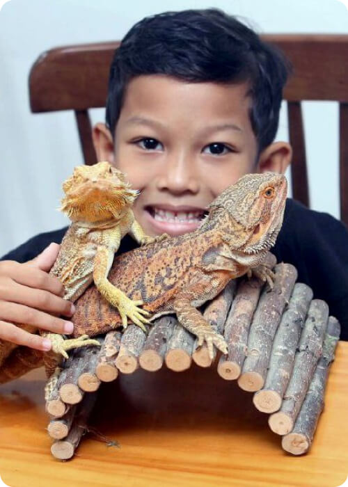 animals that lay eggs