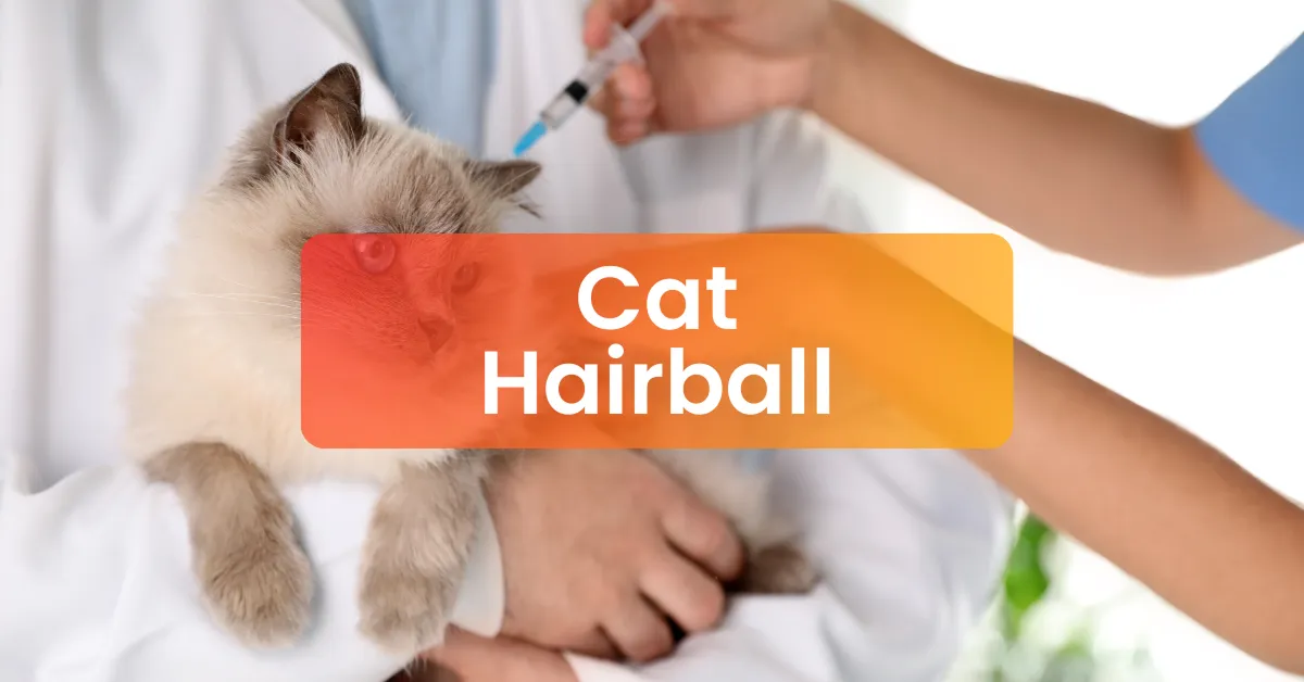 Photo inspiration: Gallery Detail: Cat Hairball Treatment Vet Subang Jaya