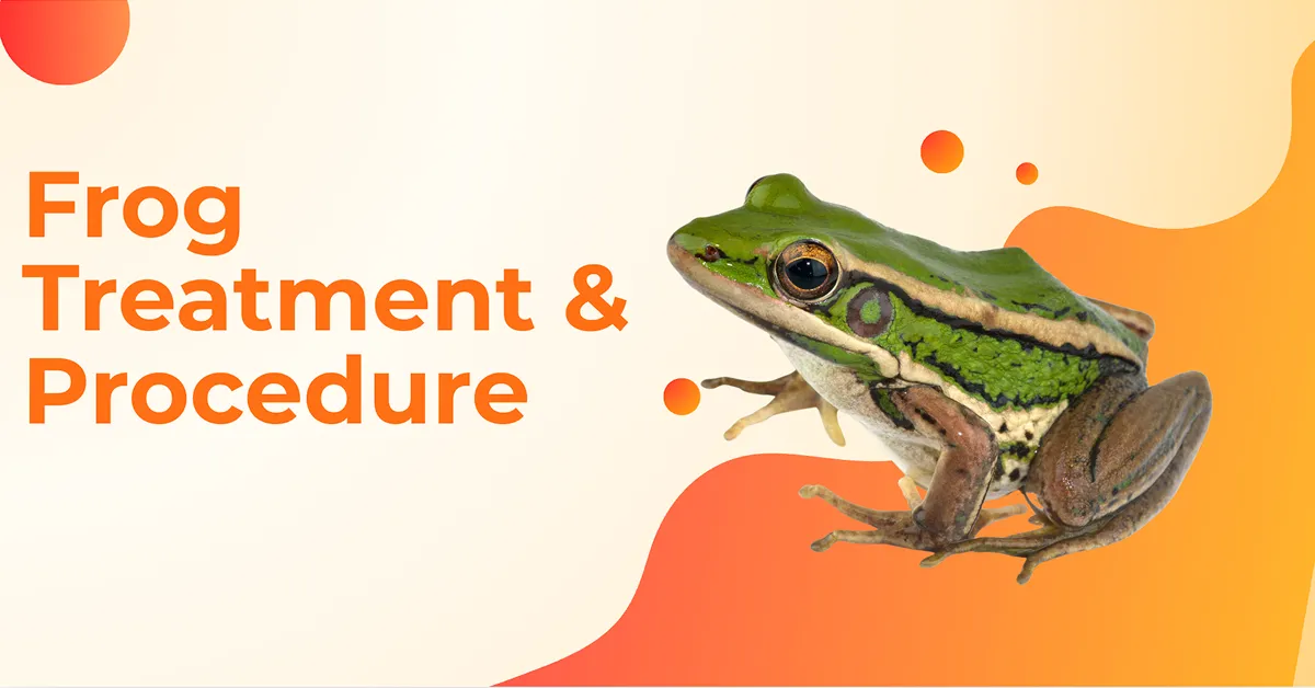 Frog Insurance Frog Pet Health Guide | Diet, Habitat, & Common Illnesses