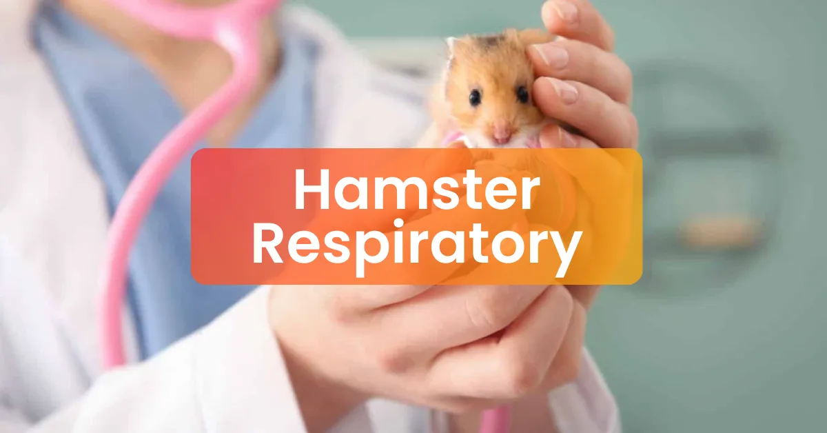 Picture of Hamster Respiratory Treatment | Veterinary Subang Jaya