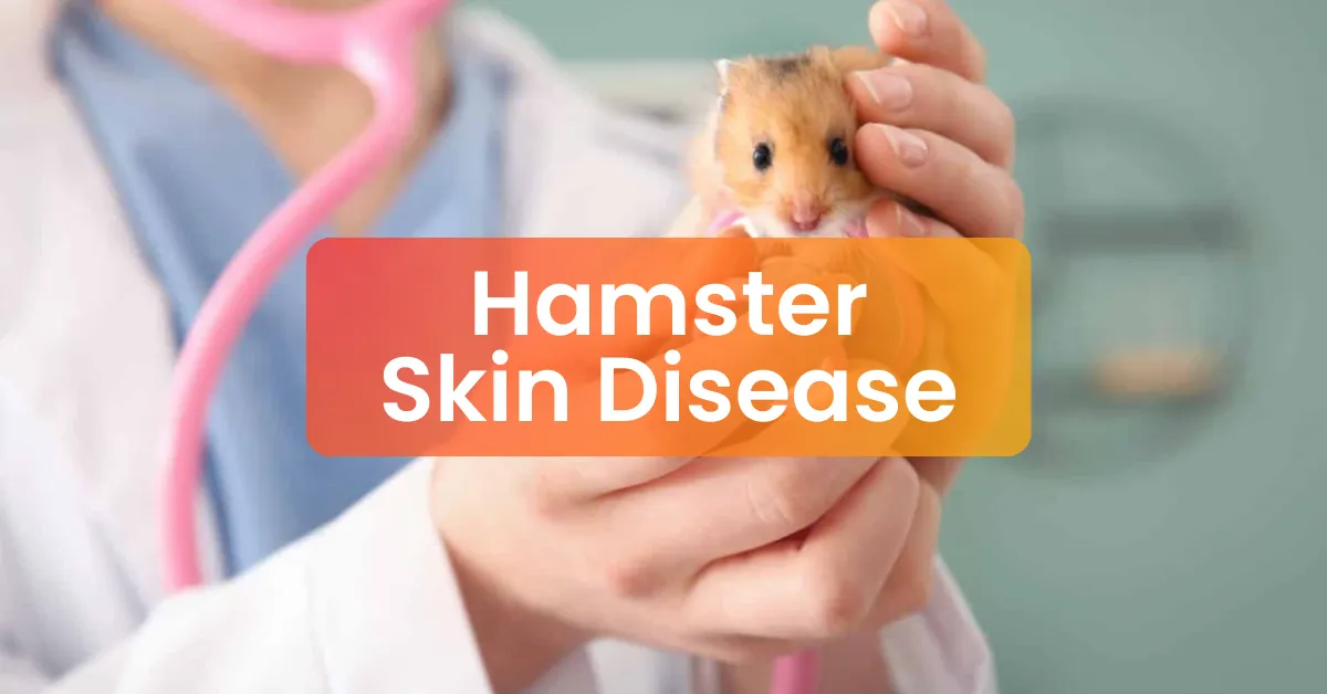 Hamster Skin Disease Treatment | Veterinary Clinic Subang Jaya