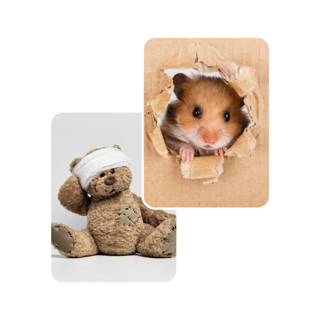 hamster trauma