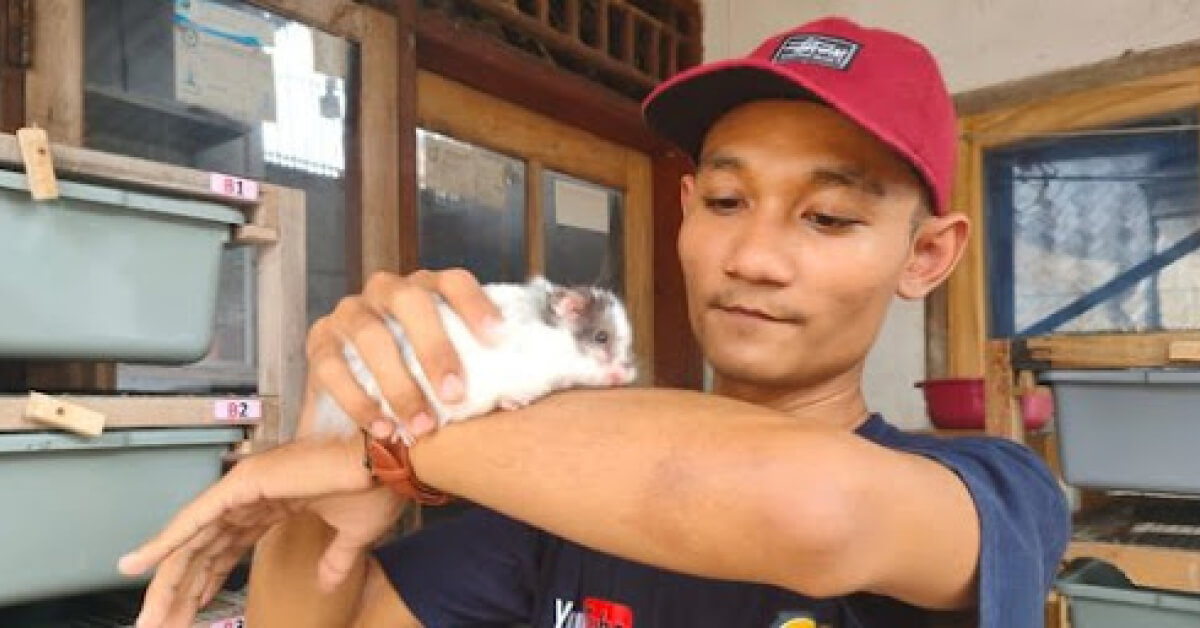 how to take care of a hamster