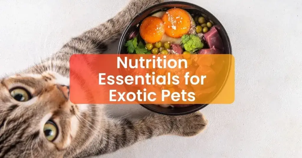 nutrition for exotic pets