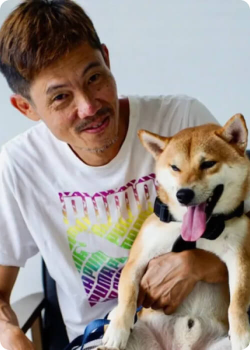 pet insurance 