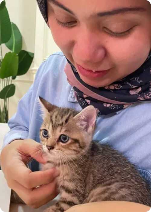 pet insurance 