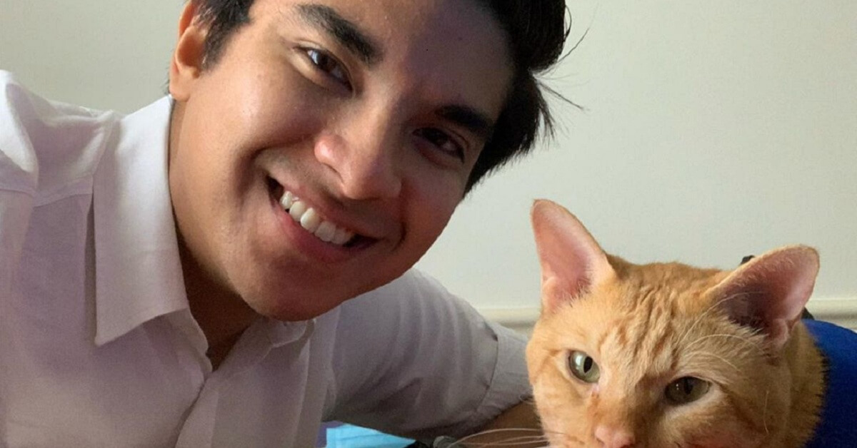 type of cats in malaysia