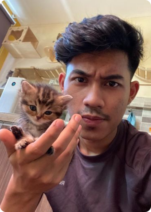 why does my cat keep meowing