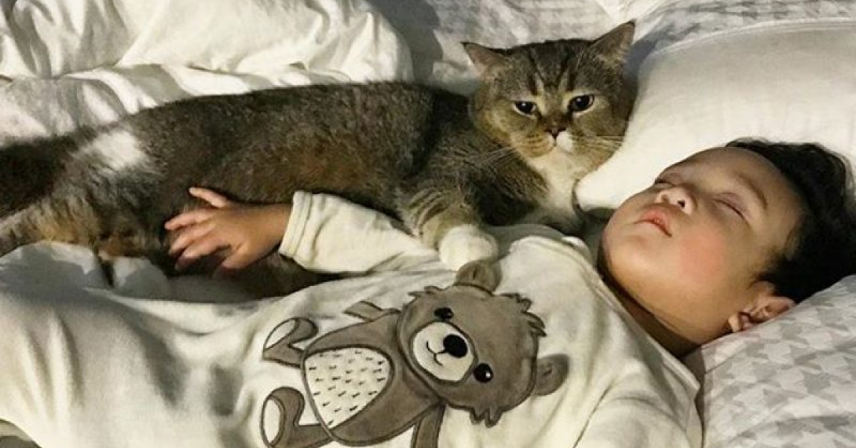 why does my cat keep meowing